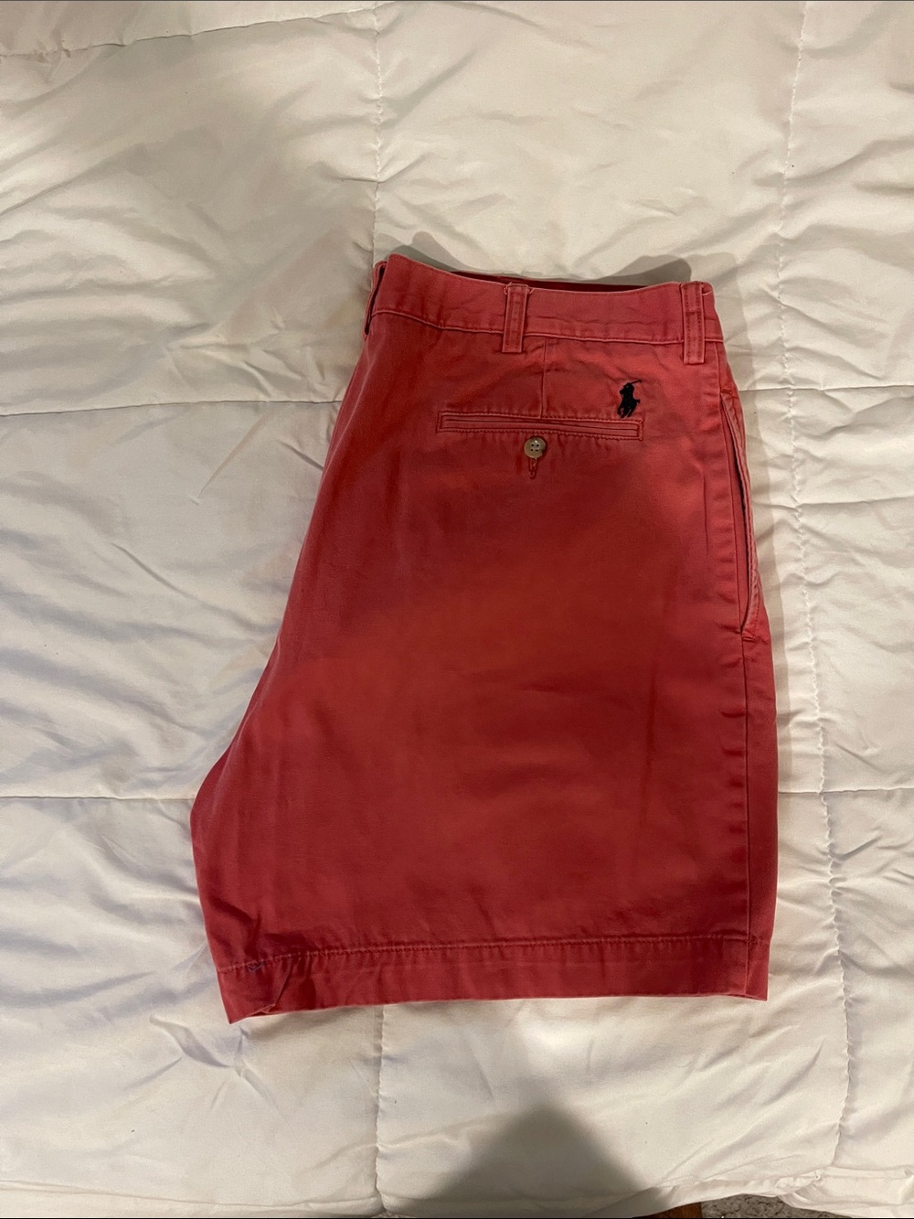 Polo Shorts in Coral Red